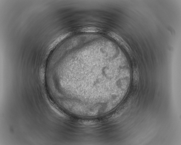 X0000112770533200909101553