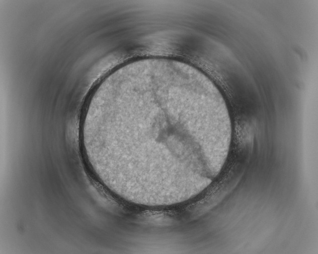 X0000112770534200909101553