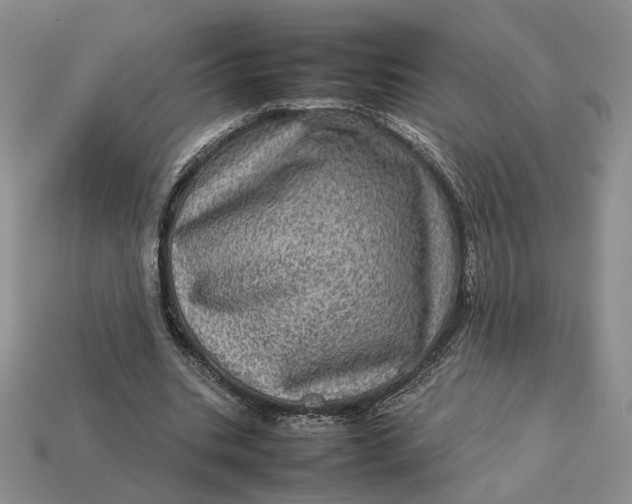 X0000112770535200909101553