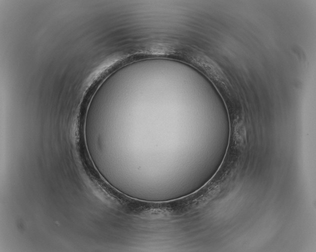 X0000112770536200909101553