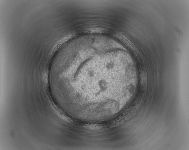 X0000112770537200909101553