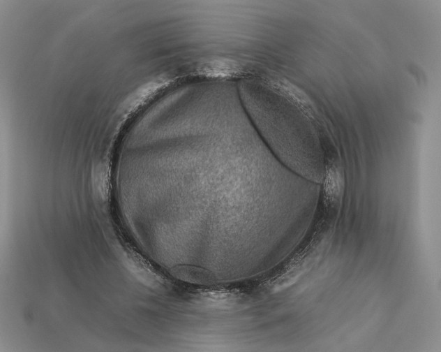 X0000112770540200909101553