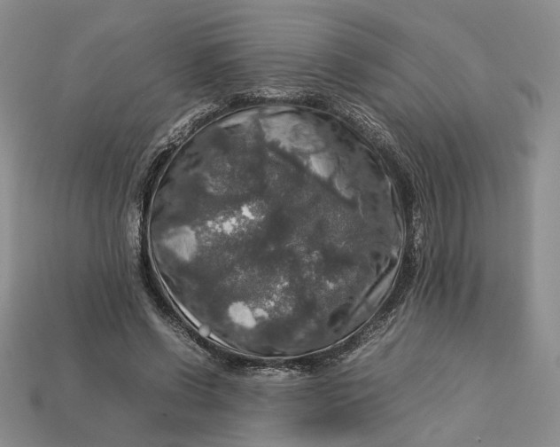 X0000112770542200909101553