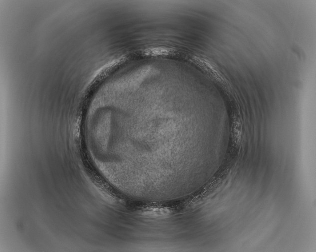 X0000112770543200909101553