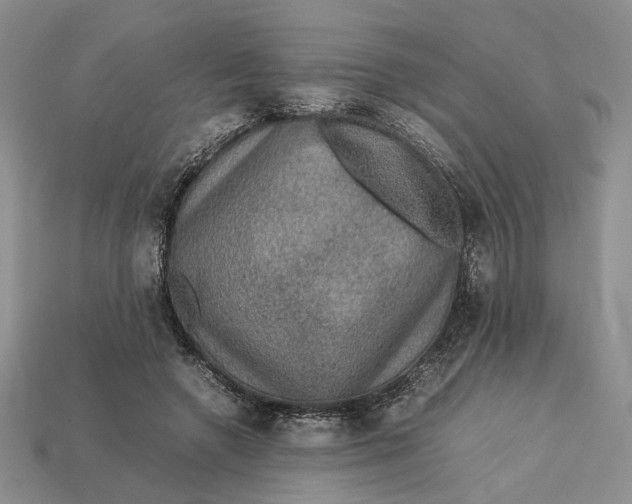 X0000112770546200909101553