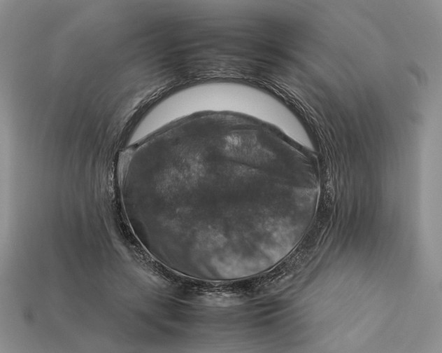 X0000112770547200909101553