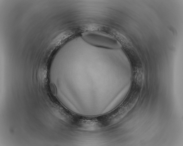 X0000112770548200909101553