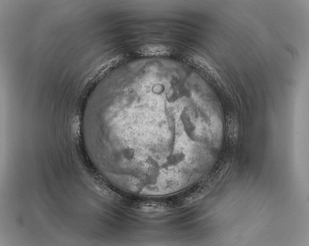 X0000112770549200909101553