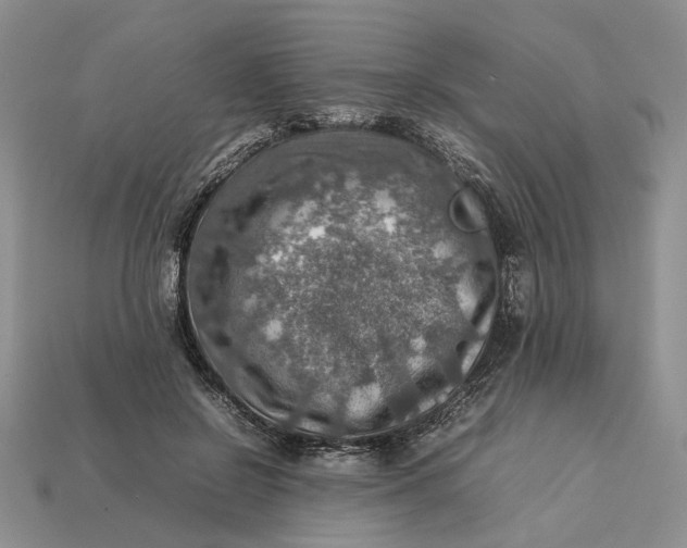 X0000112770550200909101553