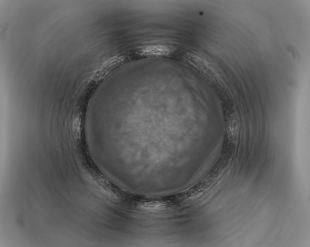 X0000112770551200909101553