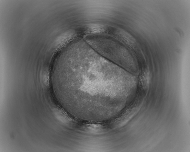 X0000112770552200909101553