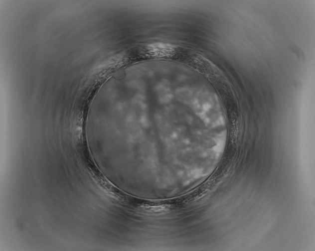 X0000112770553200909101553