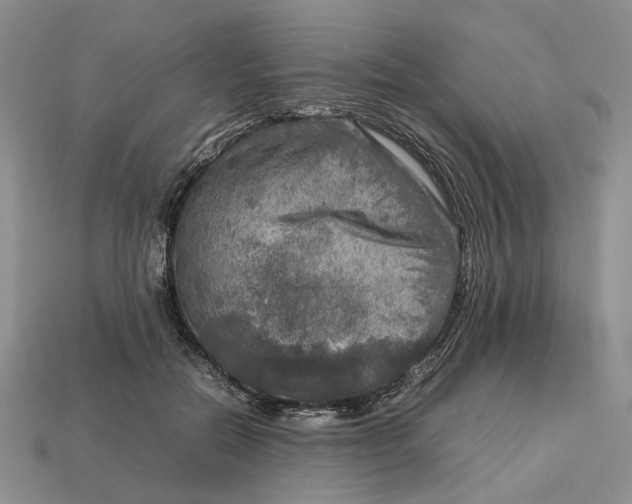 X0000112770554200909101553