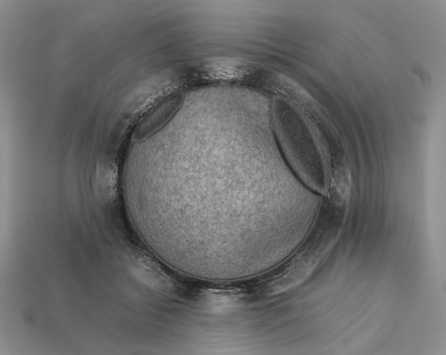 X0000112770556200909101553