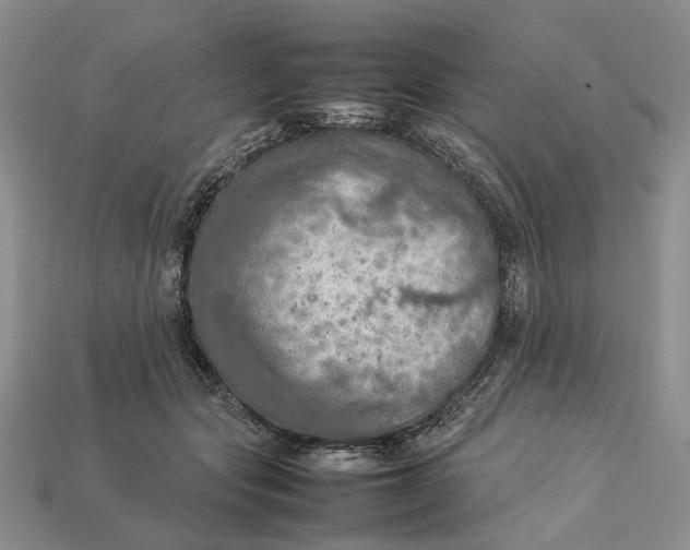 X0000112770557200909101553