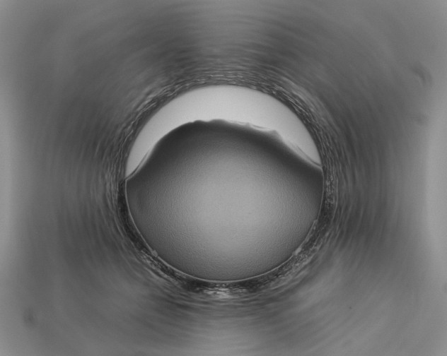 X0000112770558200909101553