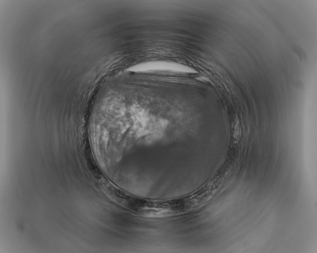 X0000112770559200909101553