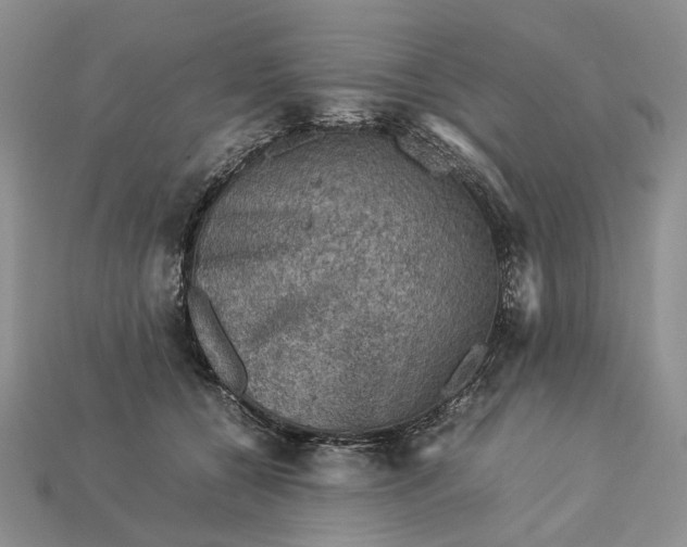 X0000112770560200909101553