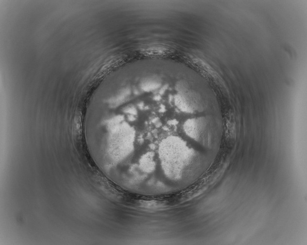 X0000112770561200909101553