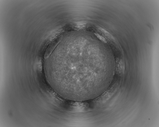 X0000112770562200909101553