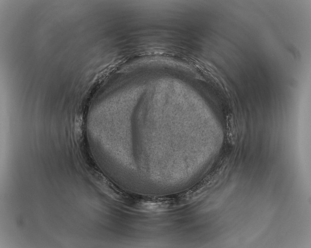 X0000112770563200909101553