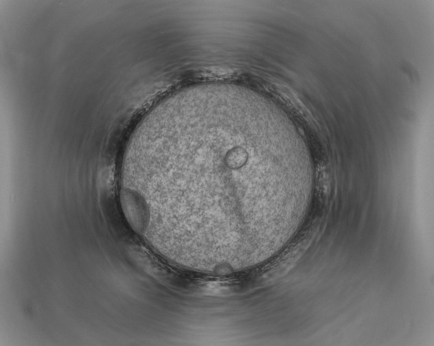 X0000112770564200909101553