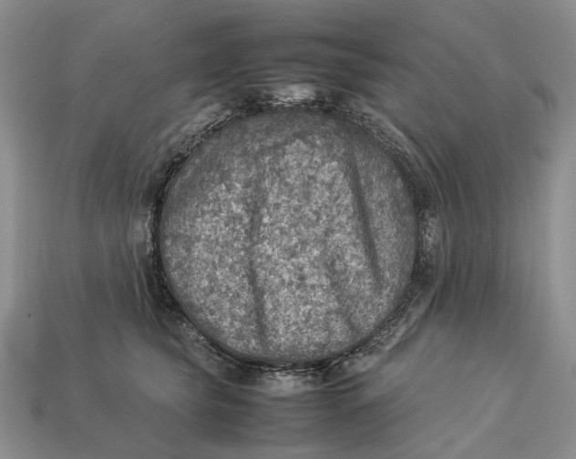 X0000112770565200909101553