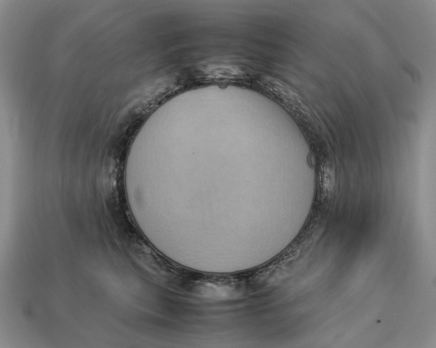 X0000112770567200909101553