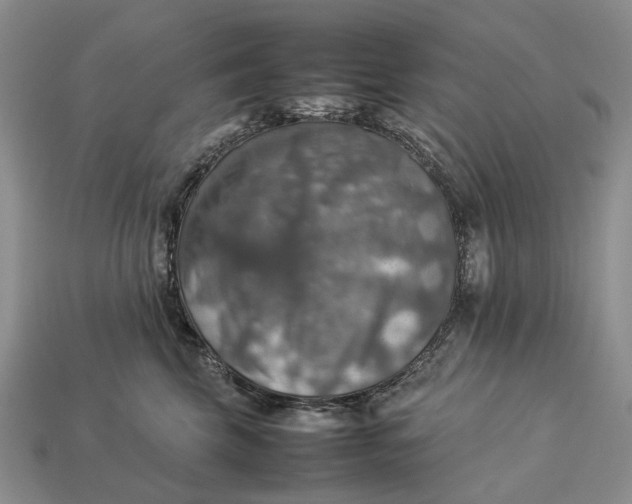 X0000112770569200909101554