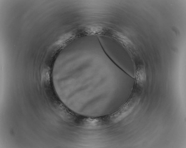 X0000112770570200909101554