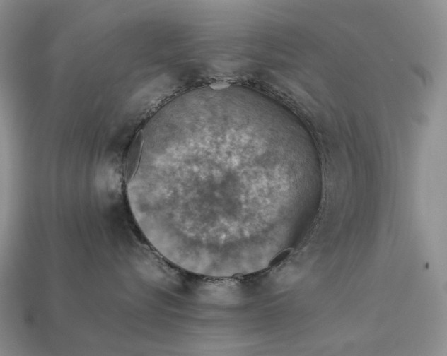 X0000112770576200909101554