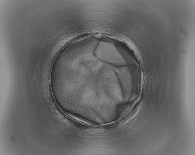 X0000112770577200909101553