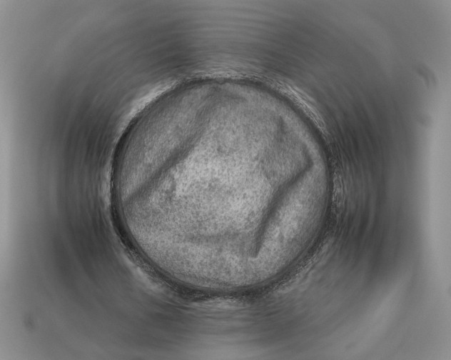 X0000112770578200909101553