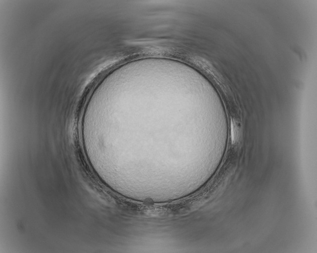 X0000112770579200909101553