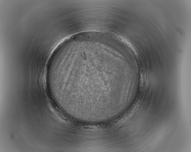 X0000112770580200909101553