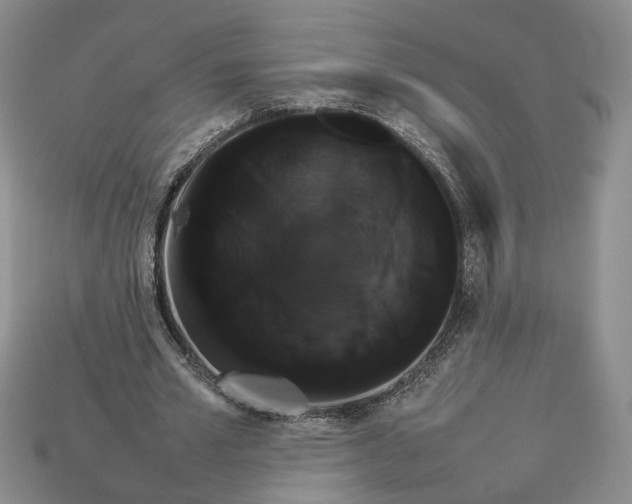 X0000112770581200909101553