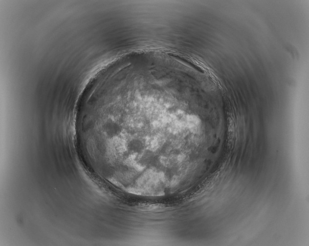 X0000112770582200909101553