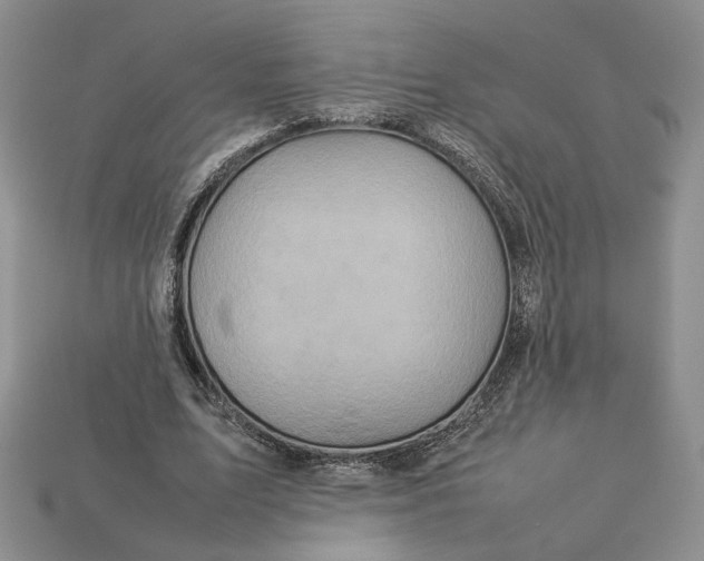 X0000112770583200909101553