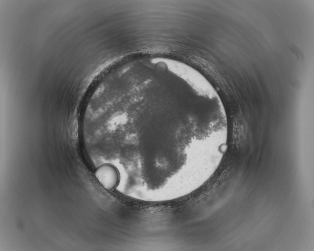 X0000112770584200909101553