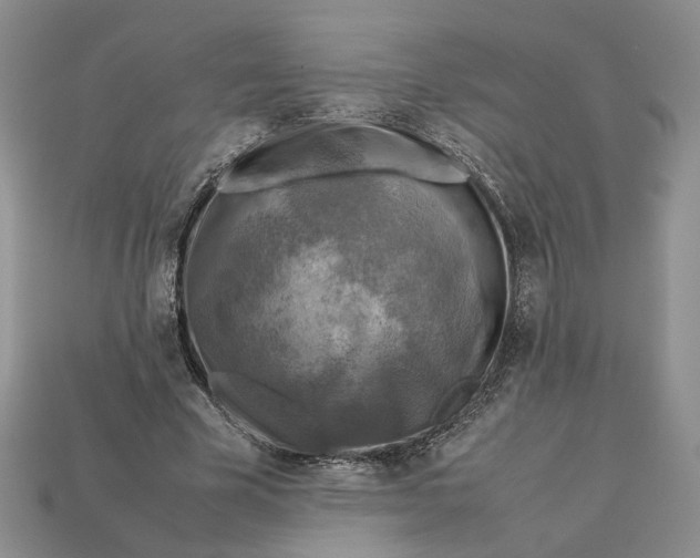 X0000112770585200909101553