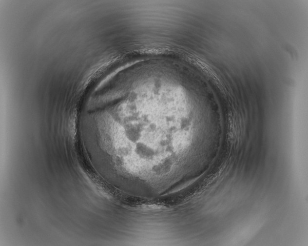 X0000112770586200909101553