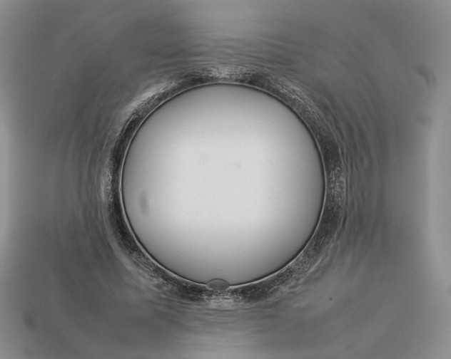 X0000112770587200909101553