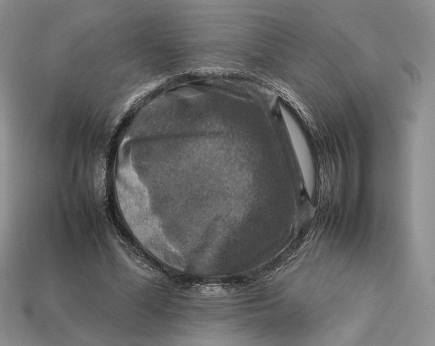 X0000112770588200909101553