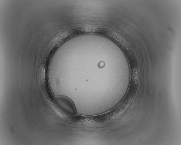 X0000112770589200909101553