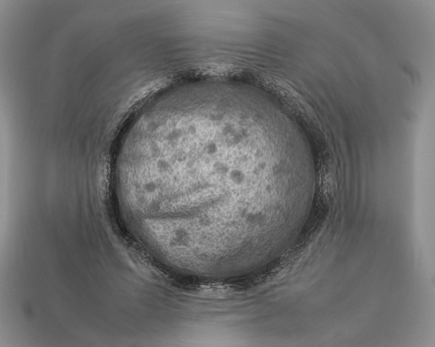 X0000112770591200909101553