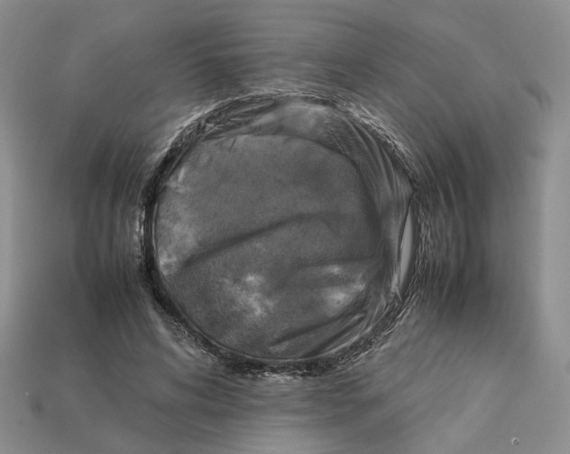 X0000112770592200909101553