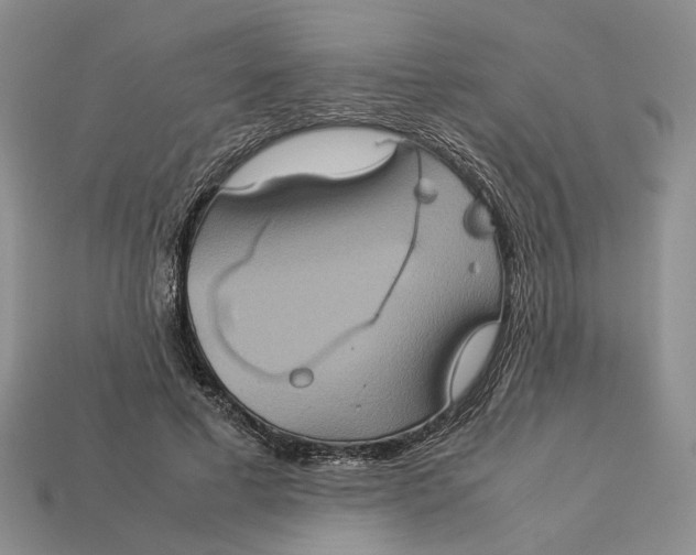 X0000112770593200909101553