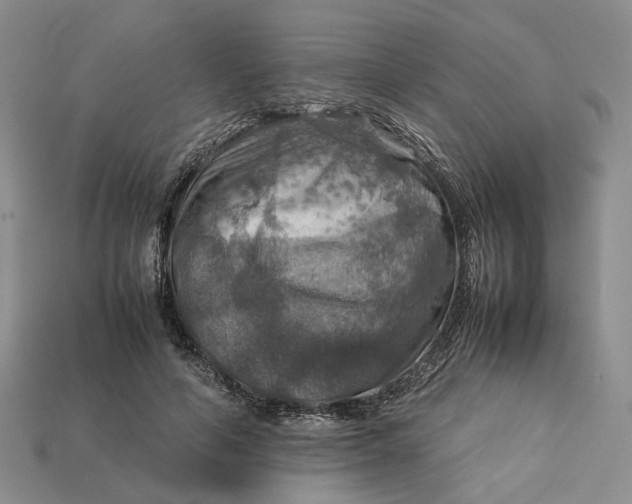 X0000112770594200909101553