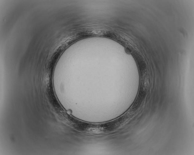 X0000112770595200909101553