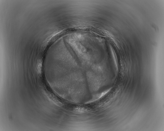 X0000112770596200909101553